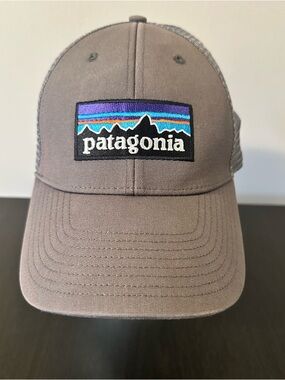 Patagonia Trucker Hat Grey